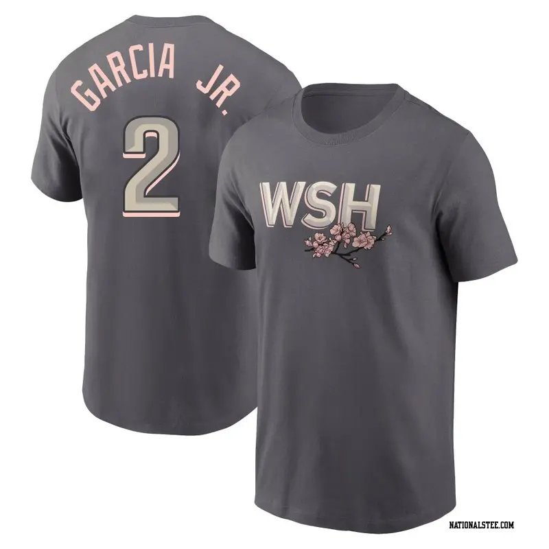 Luis Garcia Detroit Tigers Youth Navy Roster Name & Number T-Shirt 